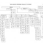 images_primaria_organigrama_2014