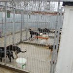 images_biobaza_biobaza3