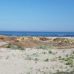 images_imagini_stiri_2016_plaja_1