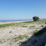 images_imagini_stiri_2016_plaja_2