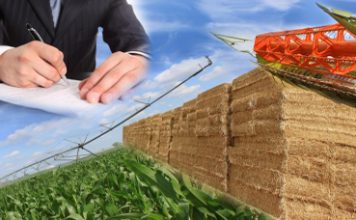 Ofertele și lista preemptorilor vânzători Geacarel Eugen