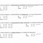 PROGRAM LUCRU CU PUBLICUL -DIRECTIA ECON copy