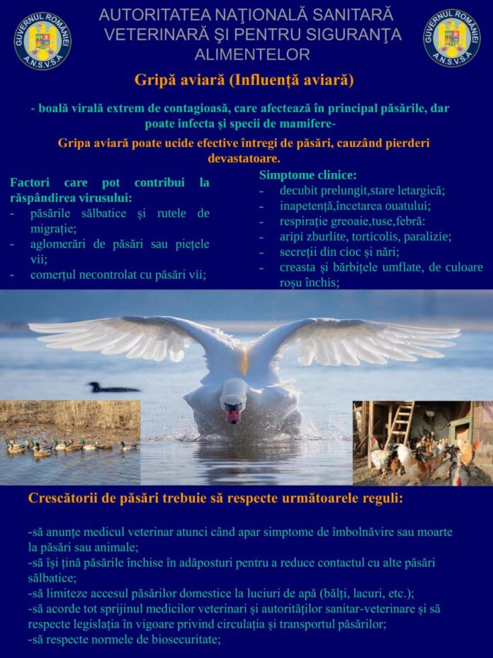 Poster-Gripa-Aviara-1152x1536