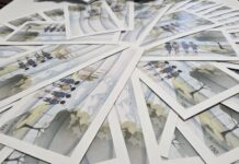 Tichete educaționale. Lista magazinelor partenere de unde pot fi achiziționate produse școlare